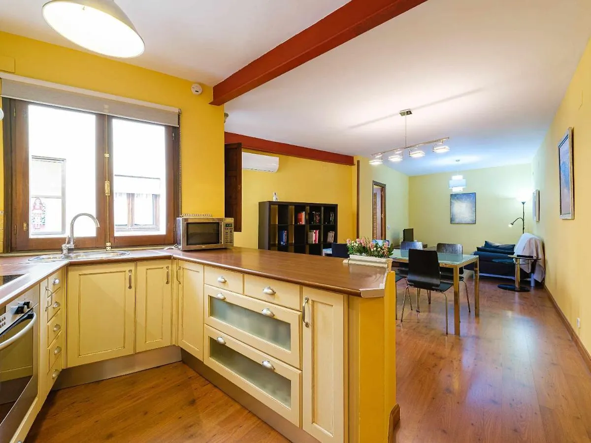 Apartamento San Vicente by Toledo AP 0*,